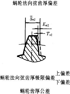 平面二次包絡環面蝸杆傳動精度蝸杆、蝸輪誤差的定義及代号